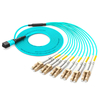 MPT OM3 12-core fiber optic jumper